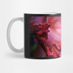 Water Droplets on Pink Gladiolus Petals Mug